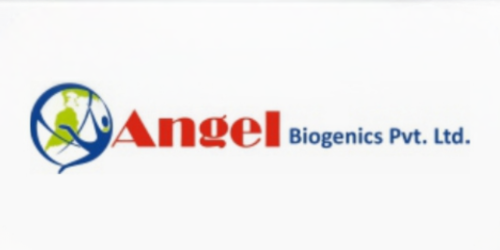 angel