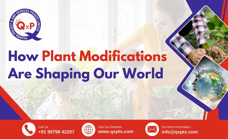 how plant modifications are shaping our world